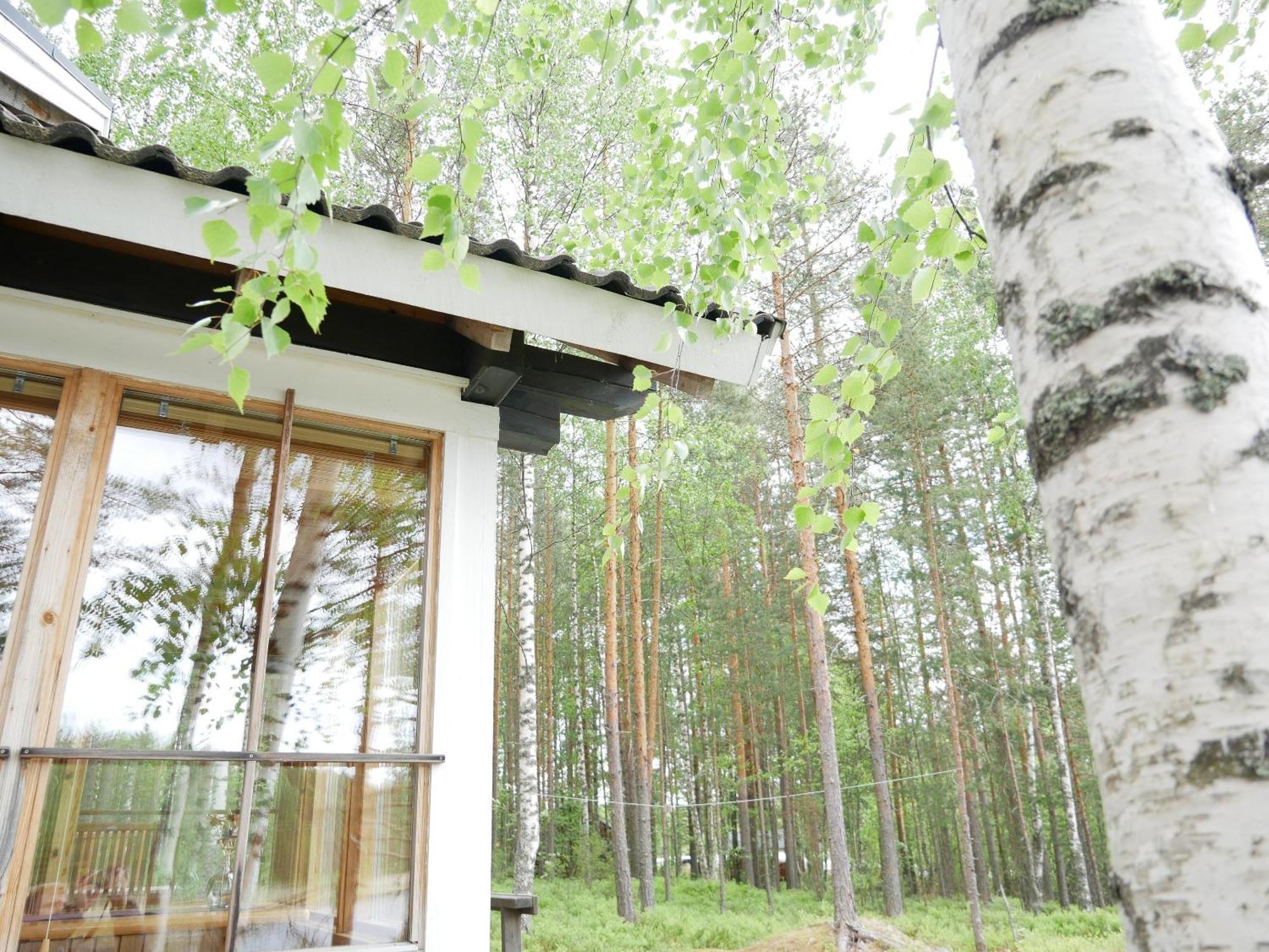 Mökki Aapola Villa Puumala Kültér fotó