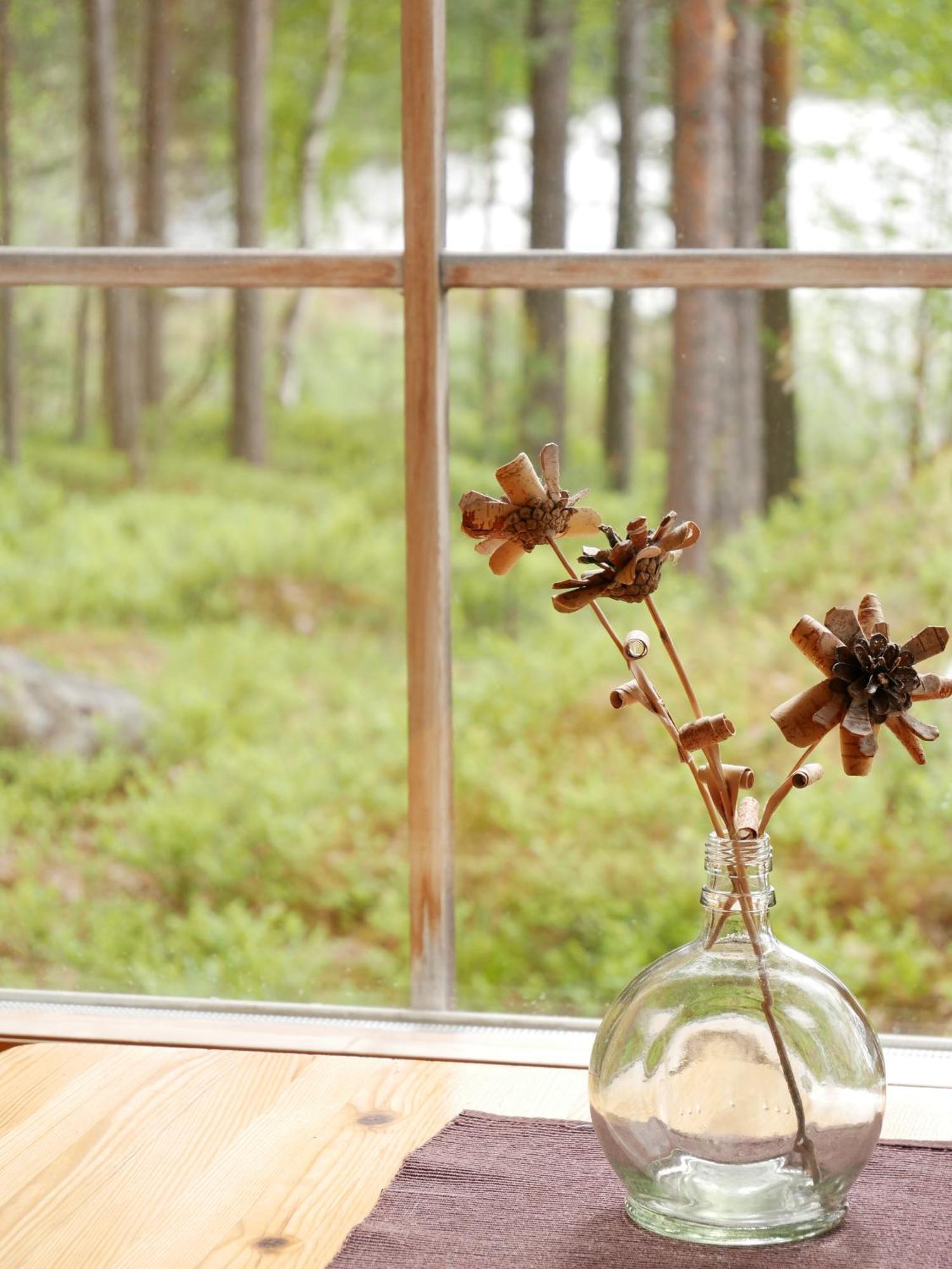 Mökki Aapola Villa Puumala Kültér fotó