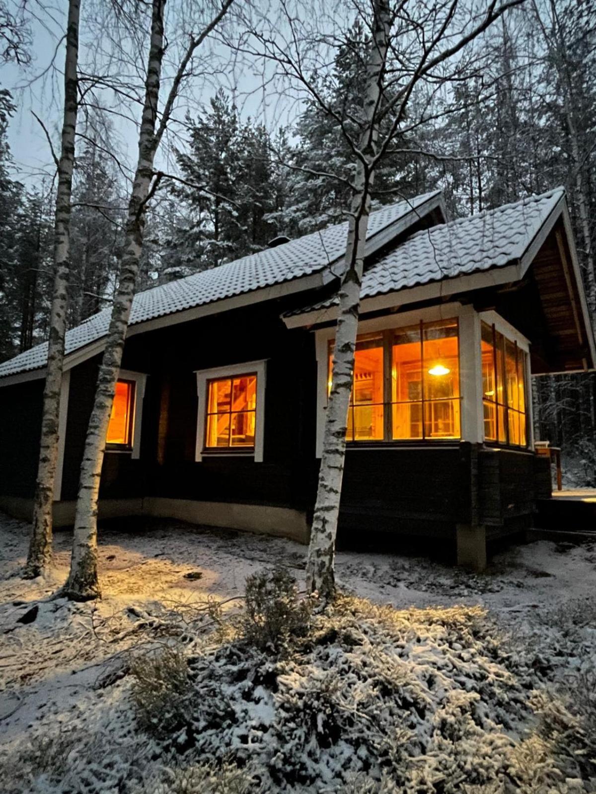 Mökki Aapola Villa Puumala Kültér fotó