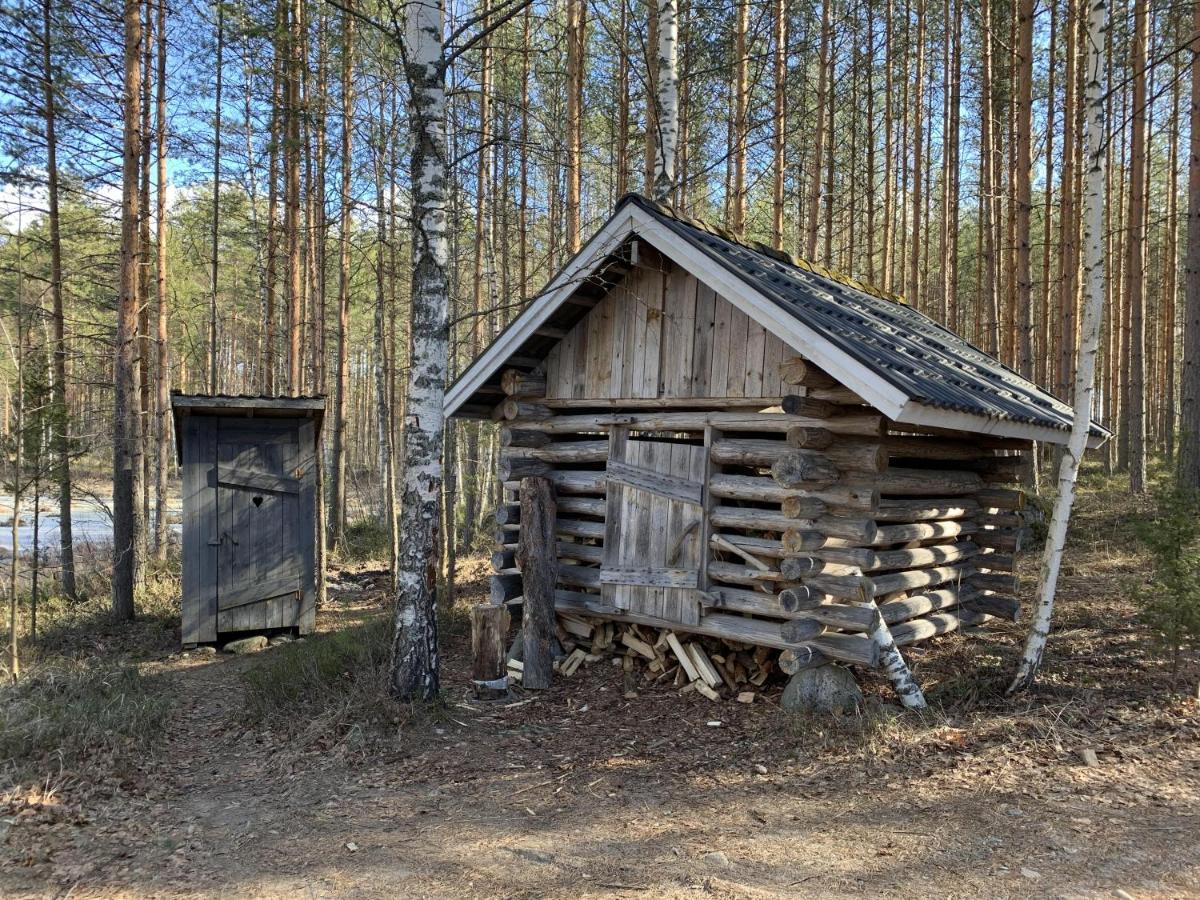 Mökki Aapola Villa Puumala Kültér fotó